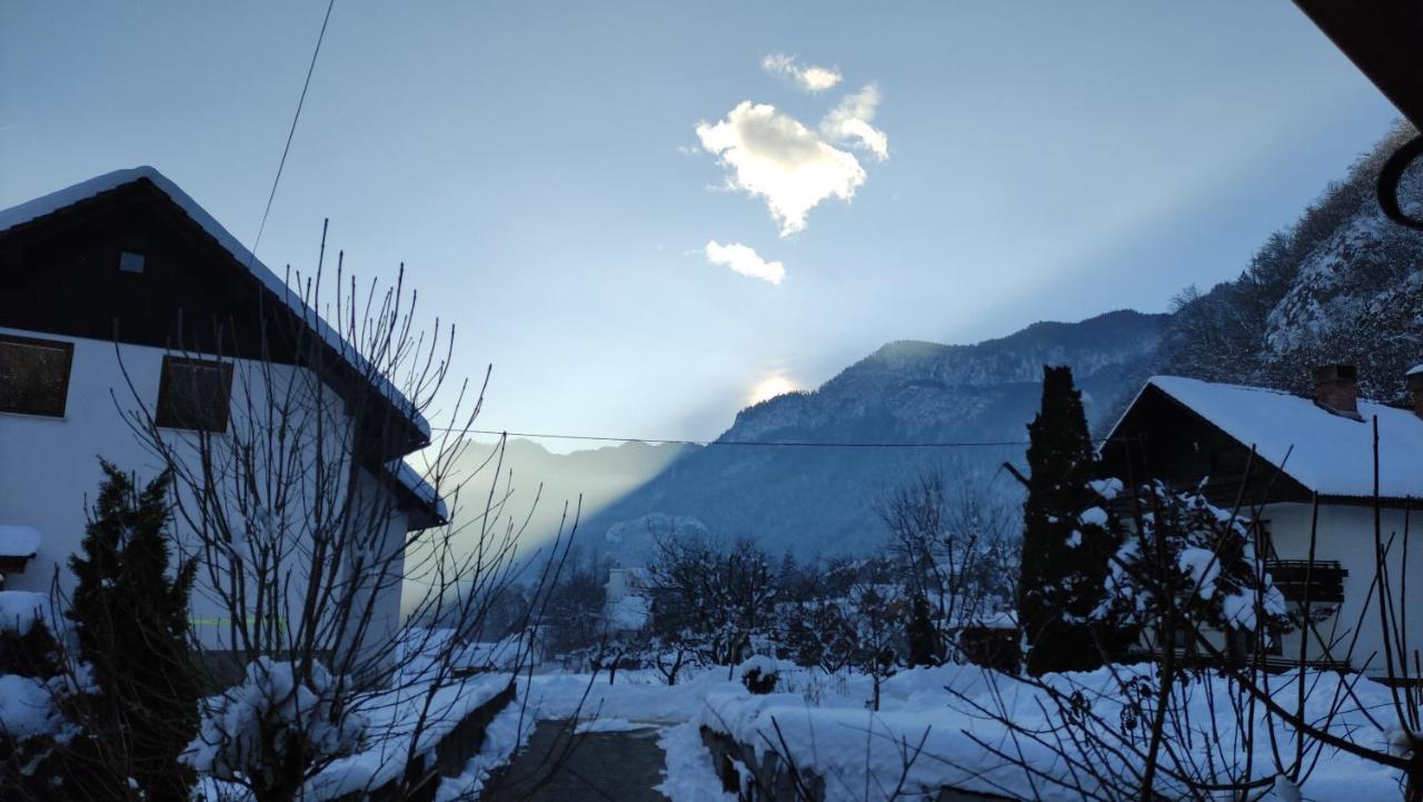Alp House Ξενοδοχείο Bohinjska Bela Εξωτερικό φωτογραφία