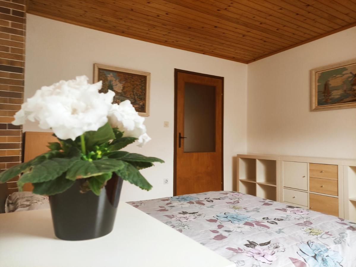 Alp House Ξενοδοχείο Bohinjska Bela Εξωτερικό φωτογραφία